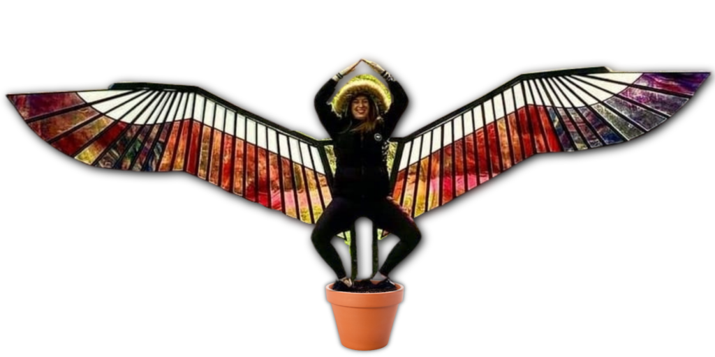 The image represents Rachel's growth and transformation, as she blossoms into a new version of herself. To symbolize her journey of self-discovery, as she learns to spread her wings and embrace her true potential. The plant pot may represent the nurturing environment that has helped Rachel to grow and develop, while the wings could represent her newfound freedom and independence. Alternatively, the image could be interpreted as a representation of nature's beauty and the power of growth, as Rachel emerges from the soil like a delicate flower. Overall, the image is open to interpretation and could hold different meanings for different people.