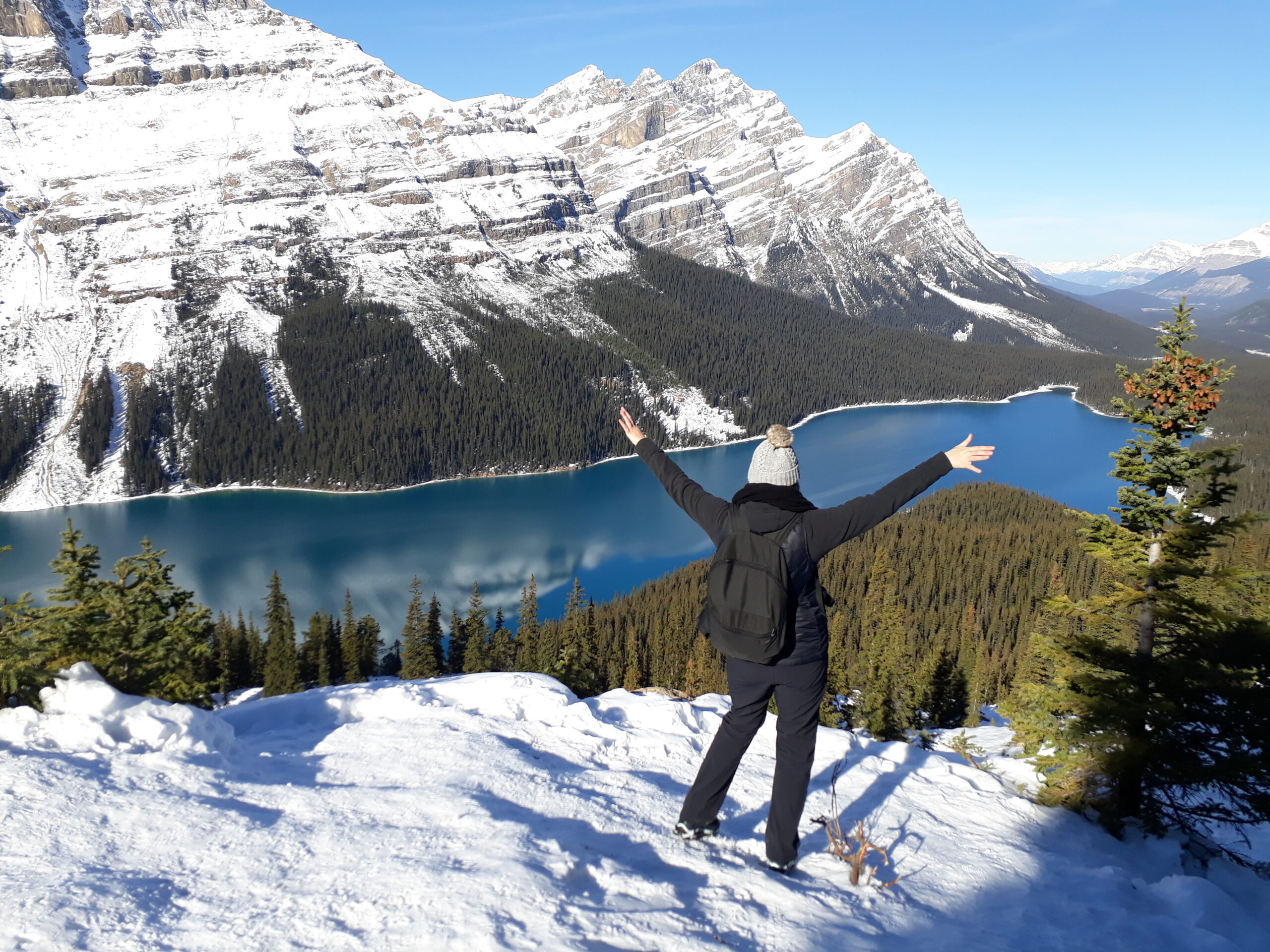 20181016 114243 scaled 1