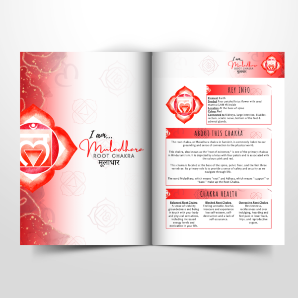 Pre-Order Reiki 21 Day Workbook - Image 5