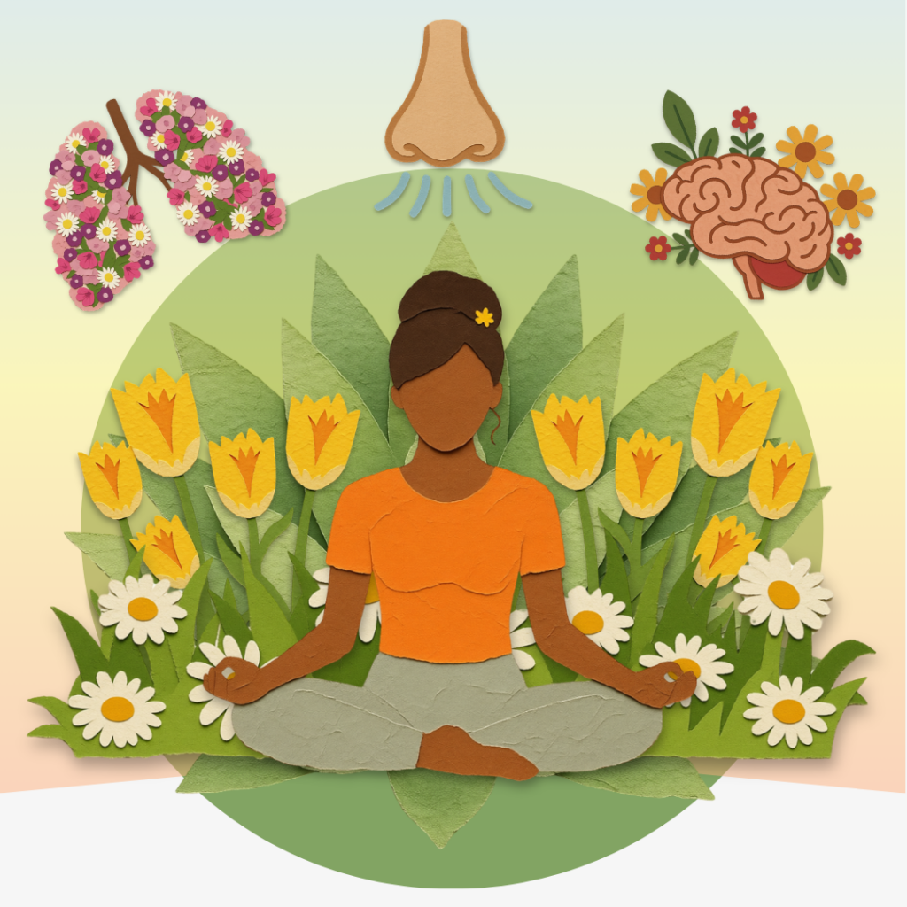 Illustration of breathing and lungs representing breath-based meditation